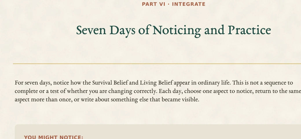 Partial preview of Seven Days of Noticing and Practice showing the title and opening context only.